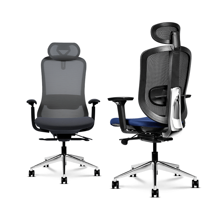 Ergonomic Chairs