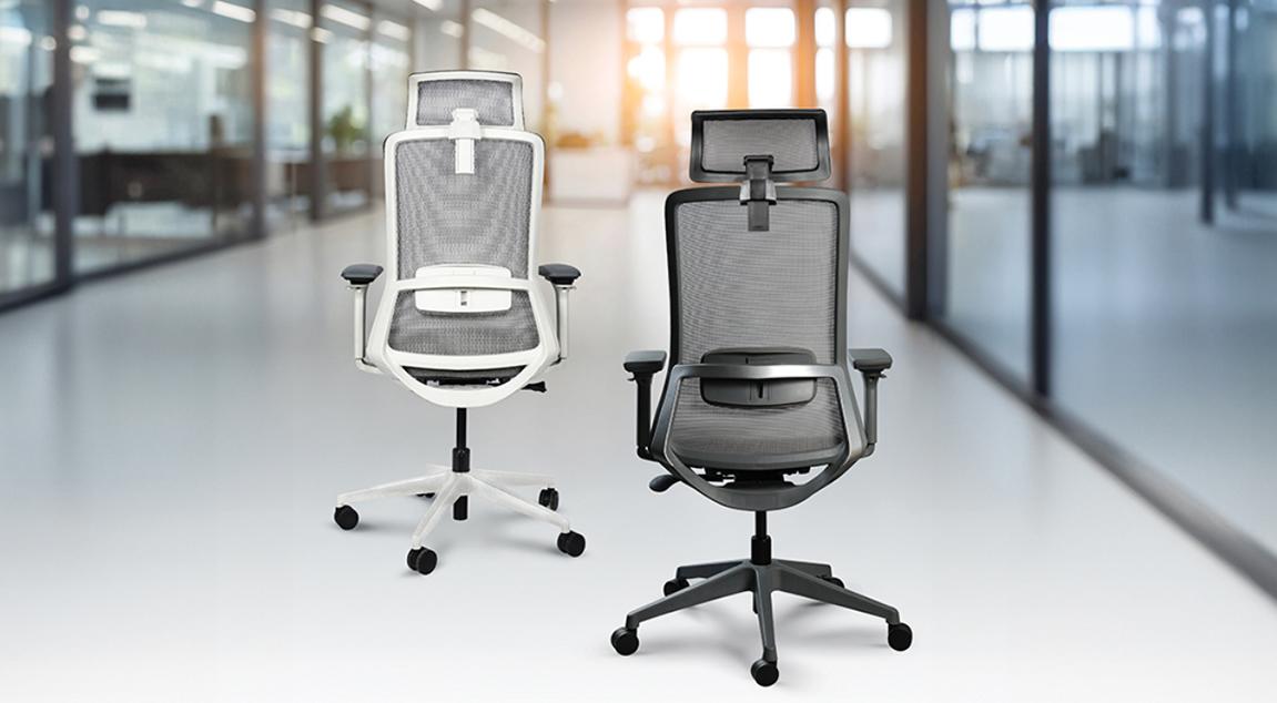 The Science Behind Ergonomic Seating and Muscle Support